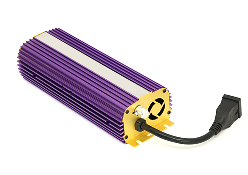 Apollo discount 1000w ballast